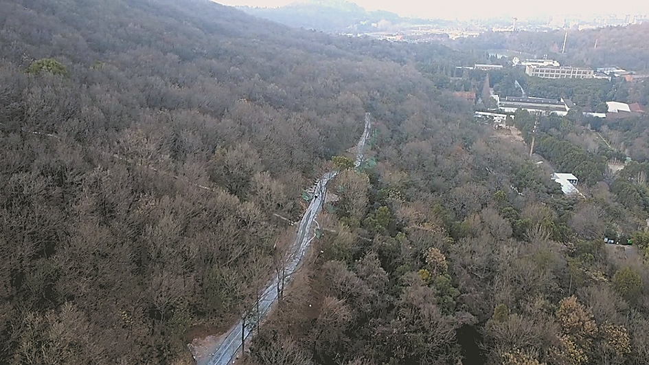 岘山绿道项目翠屏山庄至微波站段。(航拍图) 全媒体首席记者 朱科 摄