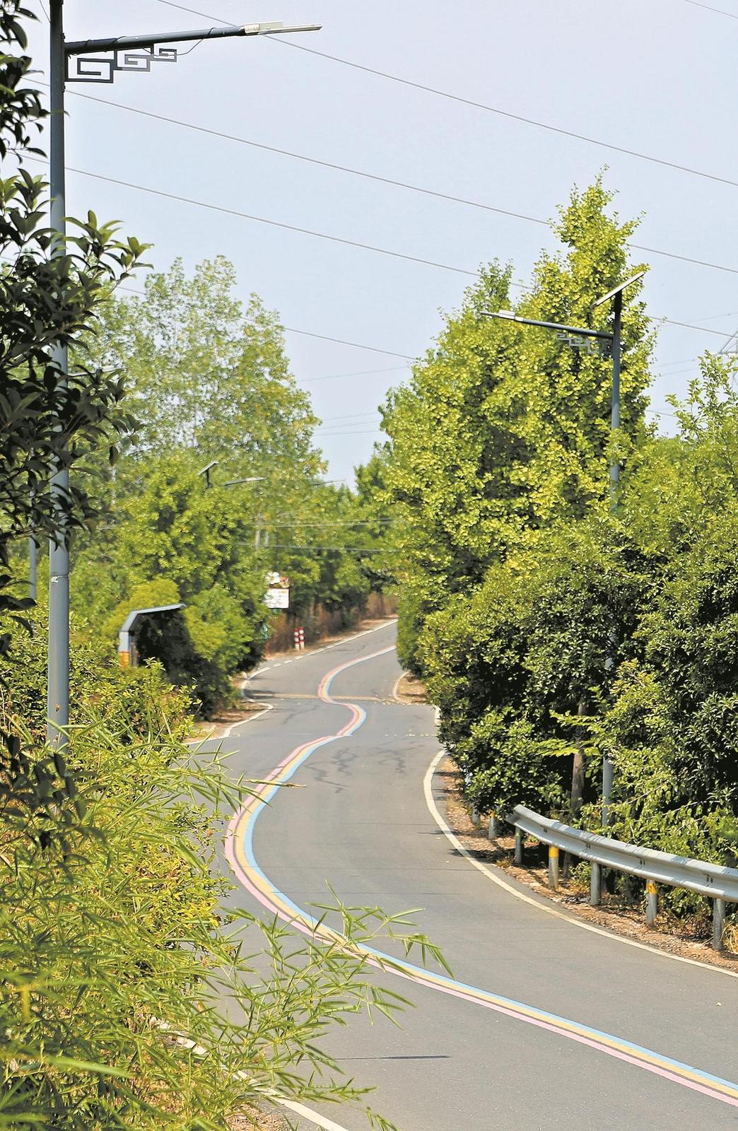 通村道路刷黑亮灯。